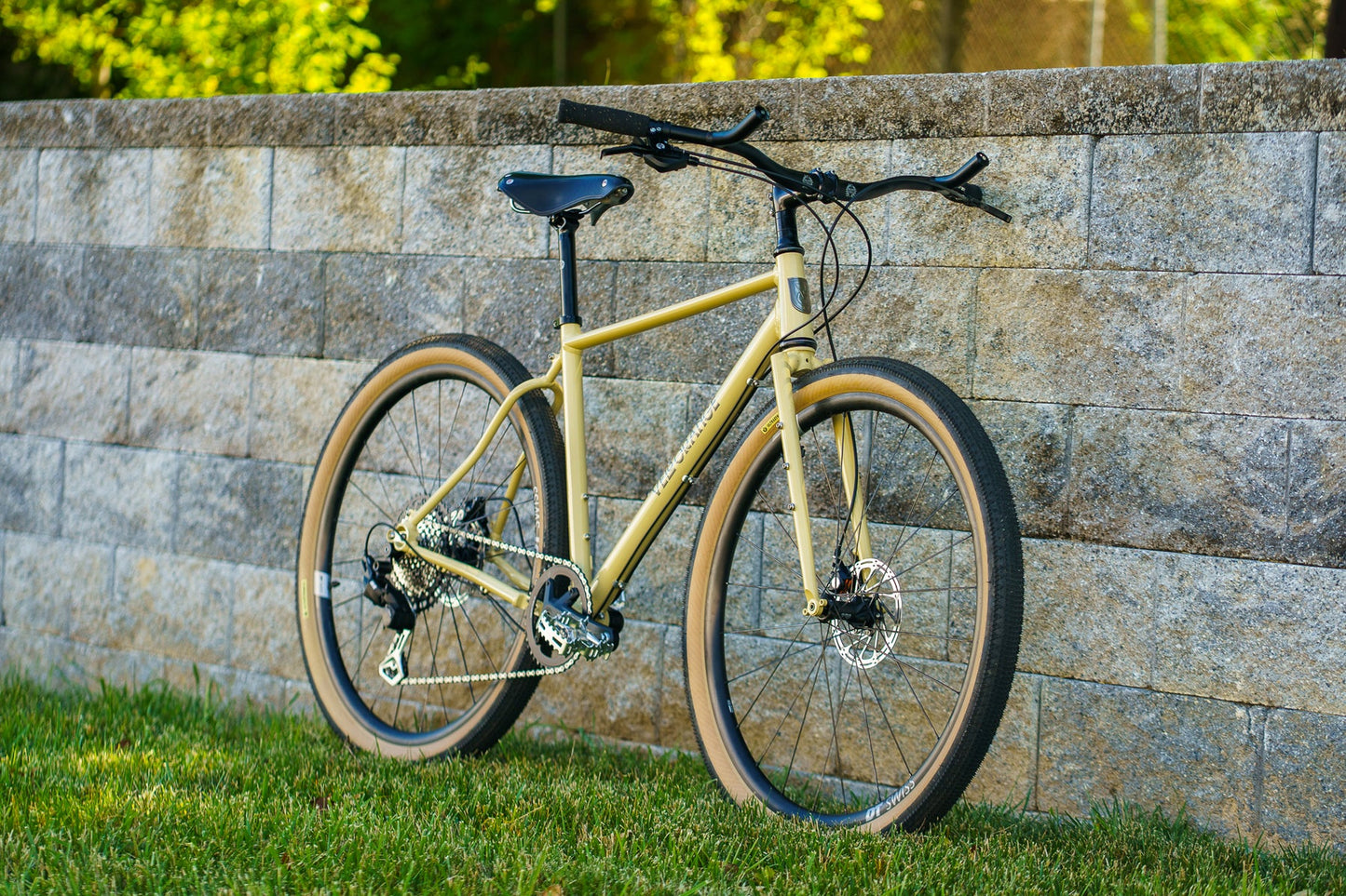 Velo Orange - Chessie Frameset (shoreline sand)