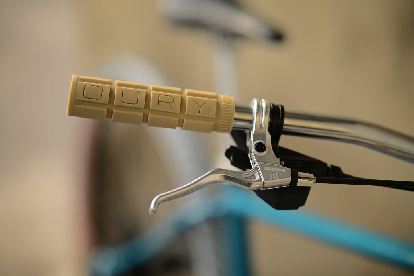 [BBG] Velo Orange Cheesie Complete Bike