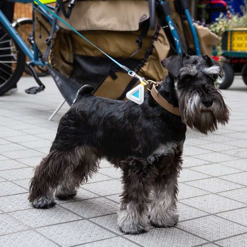 Bluelug - Mini Triangle Reflector (silver)